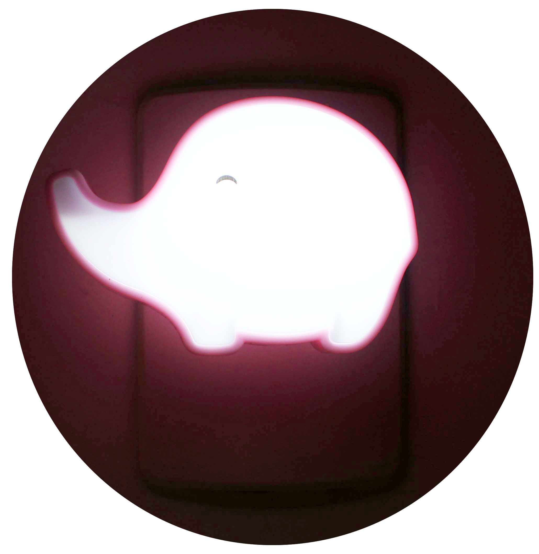 LUMINÁRIA NOTURNA DECORATIVA (BIVOLT)